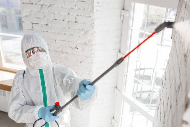 Best Environmental Consulting for Mold Prevention  in Waldo, FL