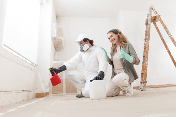 Best Mold Odor Removal Services  in Waldo, FL