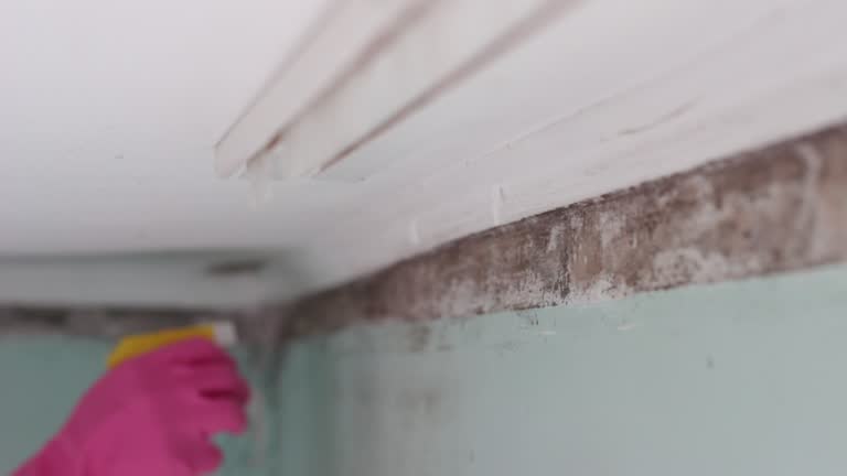 Best Post-Remediation Verification Testing  in Waldo, FL
